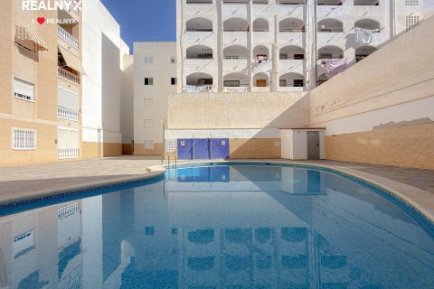 Huoneisto myytävänä Torrevieja, Alicante, Espanja, 2 makuuhuonetta, 63 m2 No. 194793 - kuva 3