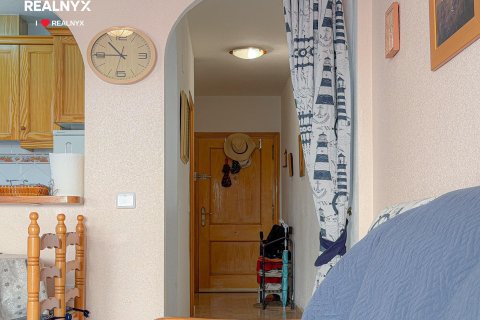 Huoneisto myytävänä Torrevieja, Alicante, Espanja, 2 makuuhuonetta, 63 m2 No. 194793 - kuva 14