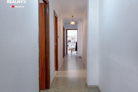 Penthouse for sale in Torrevieja, Alicante, Spain 4 bedrooms, 112 sq.m. No. 194792 - photo 11