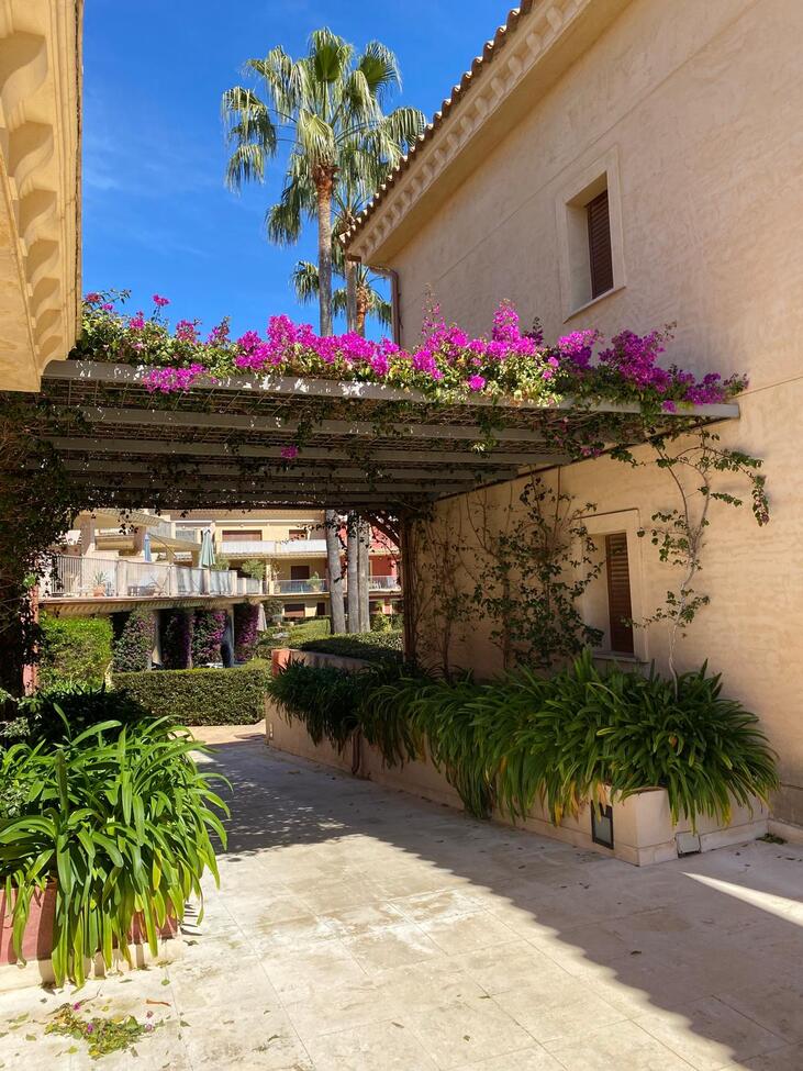 Apartment à Benissa, Alicante, Espagne 3 chambres, 109 m2 No. 119765