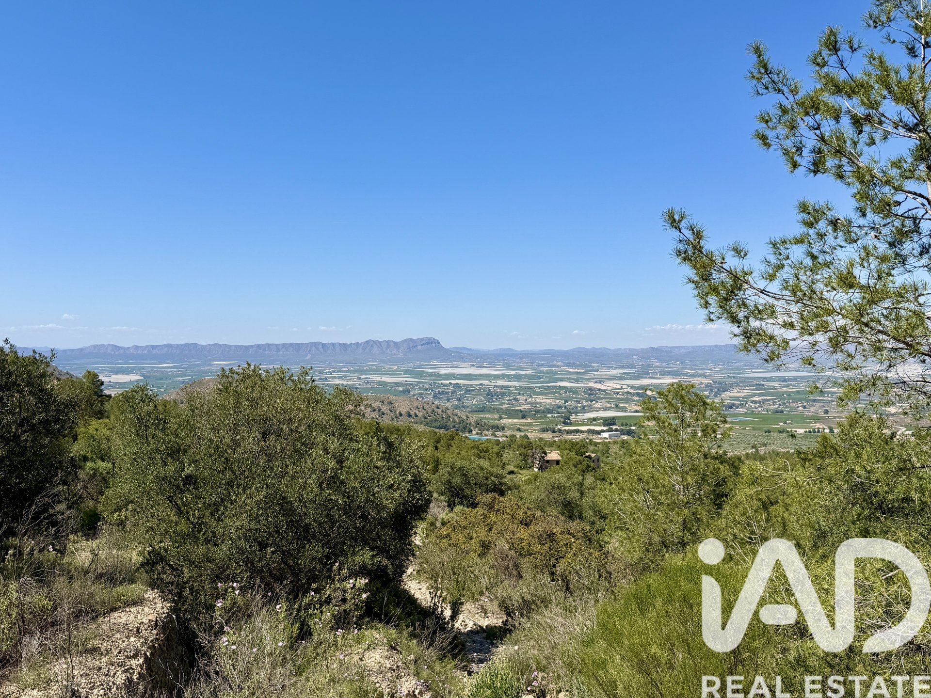 Zemes gabals Cieza, Murcia, Spānijā 120000 m2 Nr. 172951