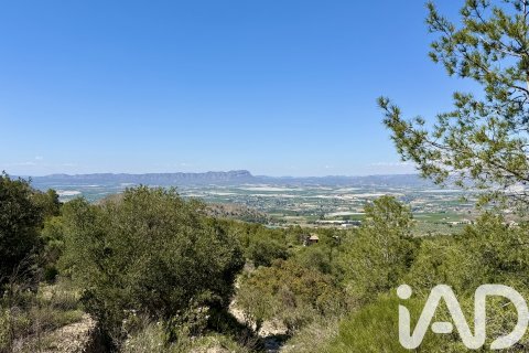 Działka w Cieza, Murcia, Hiszpania 120000 mkw. nr 172951 – zdjęcie 19