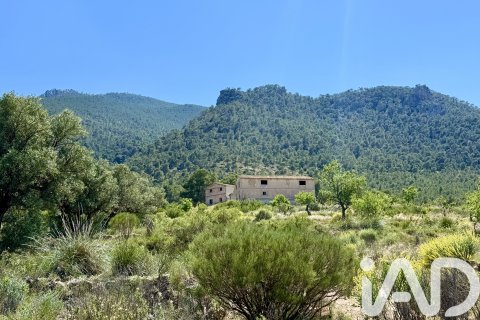 Zemes gabals Cieza, Murcia, Spānijā 120000 m2 Nr. 172951