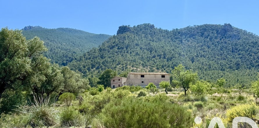 Działka w Cieza, Murcia, Hiszpania 120000 mkw. nr 172951