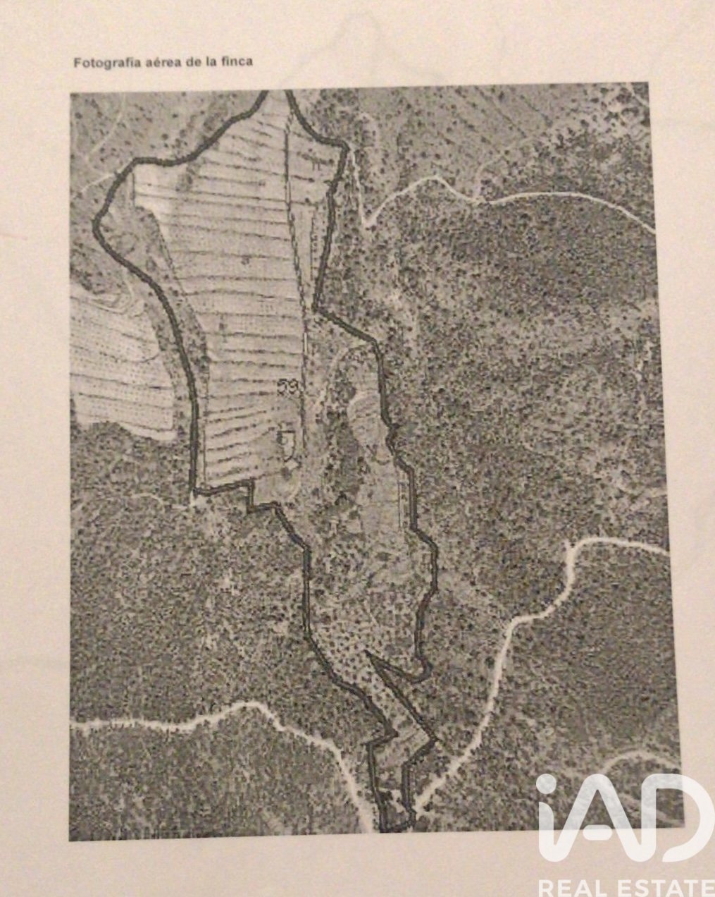 Zemes gabals Cieza, Murcia, Spānijā 120000 m2 Nr. 172951