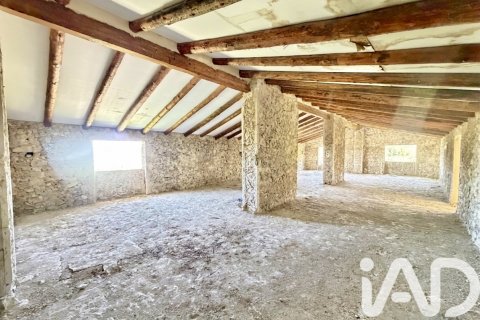 Działka w Cieza, Murcia, Hiszpania 120000 mkw. nr 172951 – zdjęcie 10