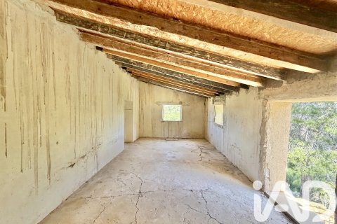 Działka w Cieza, Murcia, Hiszpania 120000 mkw. nr 172951 – zdjęcie 9