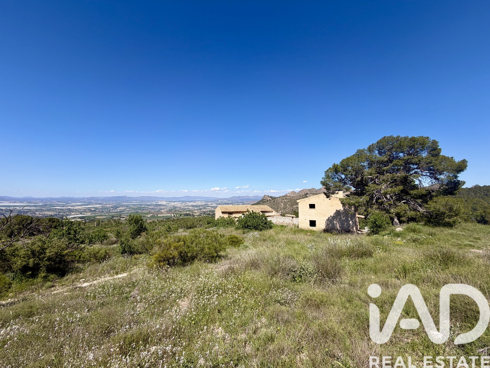Zemes gabals Cieza, Murcia, Spānijā 120000 m2 Nr. 172951