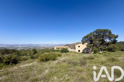 Działka w Cieza, Murcia, Hiszpania 120000 mkw. nr 172951 – zdjęcie 6