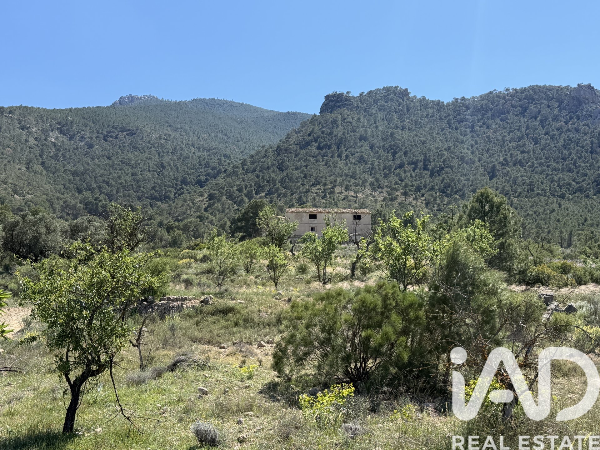 Zemes gabals Cieza, Murcia, Spānijā 120000 m2 Nr. 172951