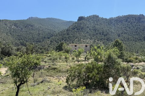Działka w Cieza, Murcia, Hiszpania 120000 mkw. nr 172951 – zdjęcie 5