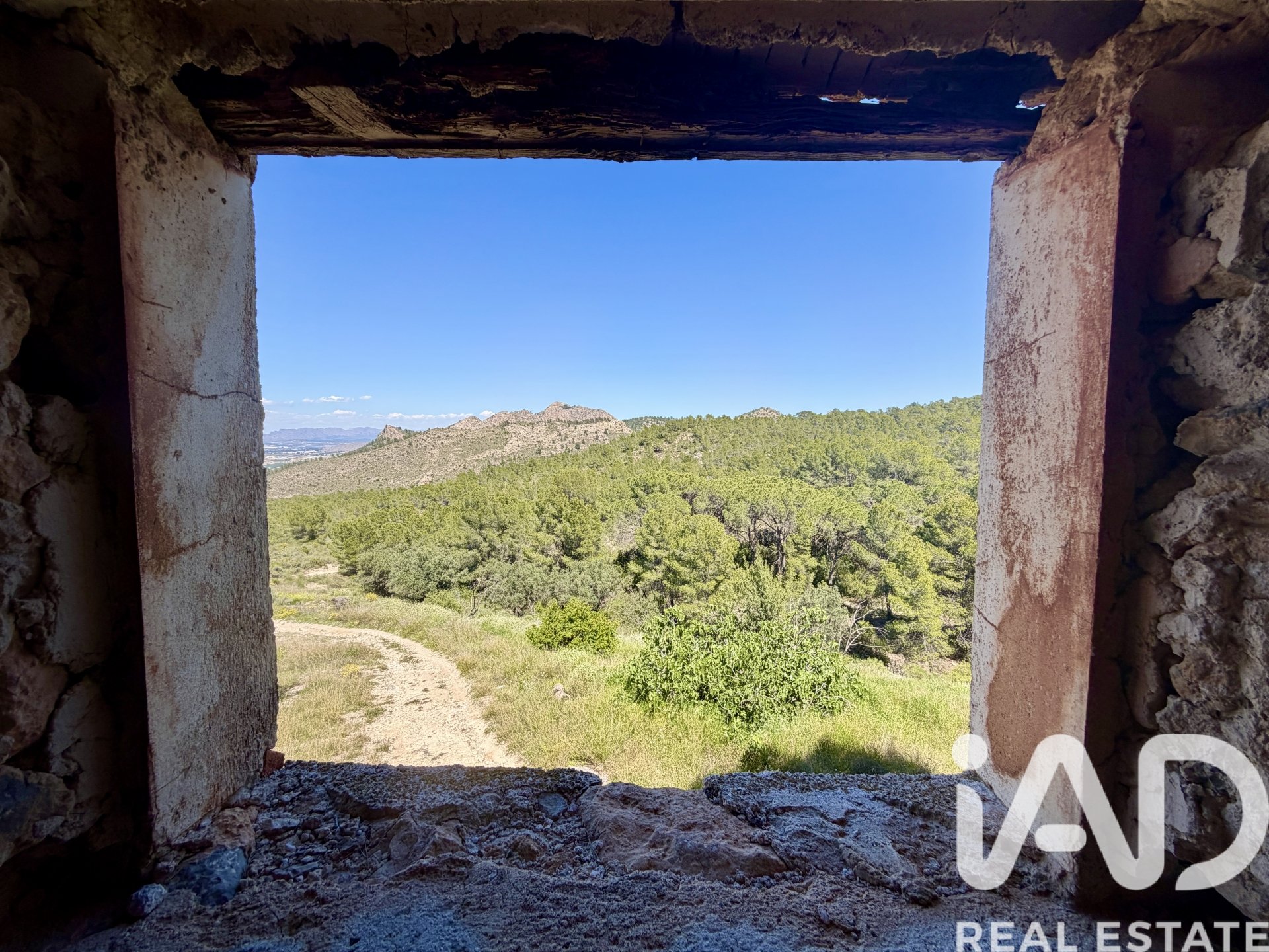 Zemes gabals Cieza, Murcia, Spānijā 120000 m2 Nr. 172951
