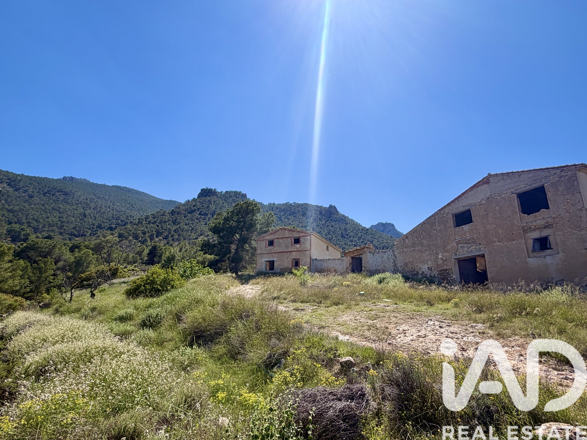 Zemes gabals Cieza, Murcia, Spānijā 120000 m2 Nr. 172951