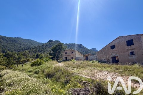 Działka w Cieza, Murcia, Hiszpania 120000 mkw. nr 172951 – zdjęcie 2