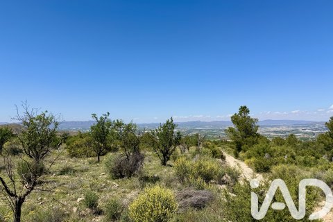 Działka w Cieza, Murcia, Hiszpania 120000 mkw. nr 172951 – zdjęcie 15