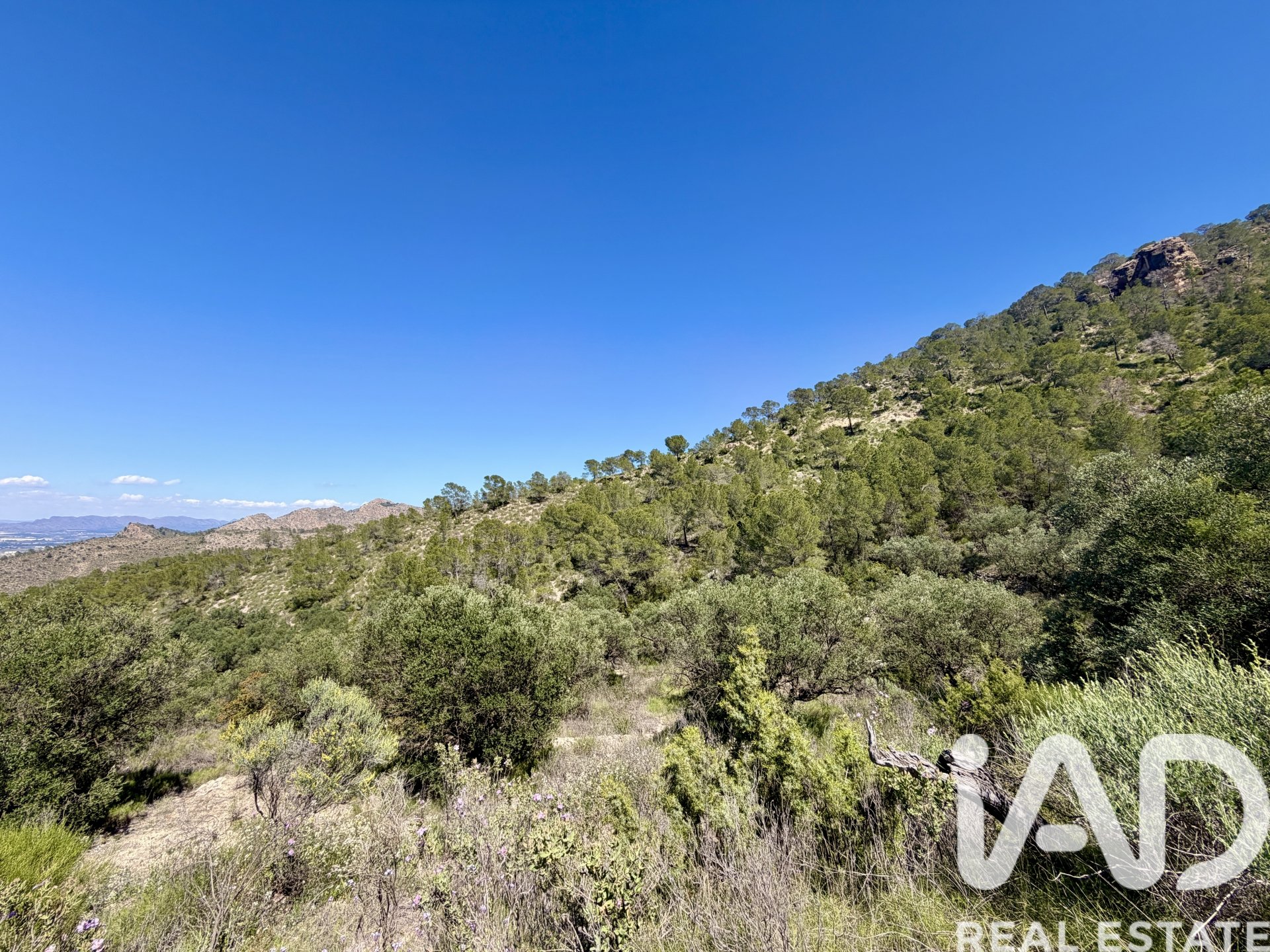 Zemes gabals Cieza, Murcia, Spānijā 120000 m2 Nr. 172951