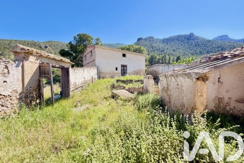 Działka w Cieza, Murcia, Hiszpania 120000 mkw. nr 172951 – zdjęcie 3