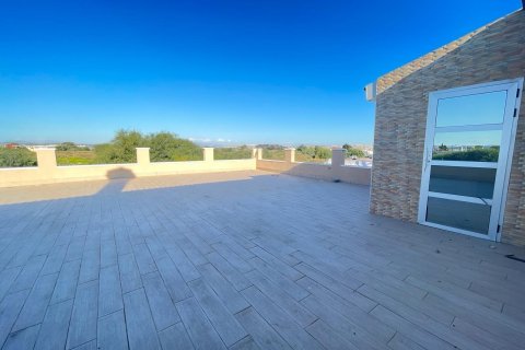 Villa pārdošanā Torrevieja, Alicante, Spānijā 3 istabas, 441 m2 Nr. 189869 - attēls 3