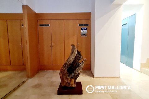 Wohnung zum Verkauf in Palma de Majorca, Mallorca, Spanien 1 Schlafzimmer, 70 m2 Nr. 183525 - Foto 15