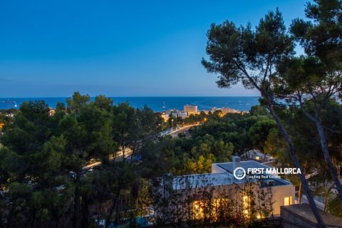Villa i Costa D'en Blanes, Mallorca, Spanien 5 sovrum, 334 kvm. Nr. 183523