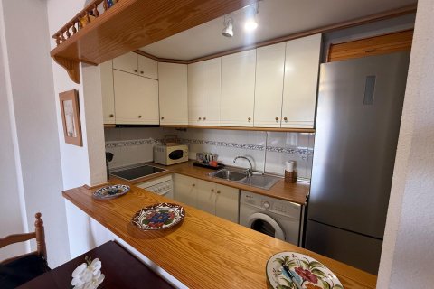 Apartment à vendre à Torrevieja, Alicante, Espagne, 1 chambre, 503 m2 No. 194796 - photo 14
