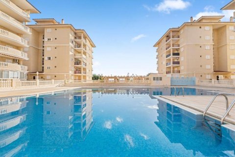 Apartment à vendre à Torrevieja, Alicante, Espagne, 1 chambre, 503 m2 No. 194796 - photo 2