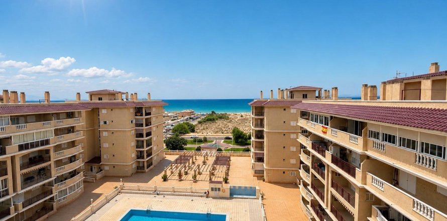 Apartment à Torrevieja, Alicante, Espagne 1 chambre, 503 m2 No. 194796