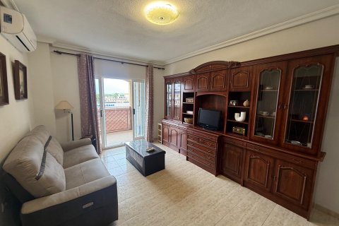 Apartment à vendre à Torrevieja, Alicante, Espagne, 1 chambre, 503 m2 No. 194796 - photo 16