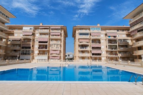 Huoneisto Torrevieja, Alicante, Espanja 1 makuuhuone, 503 m2 No. 194796