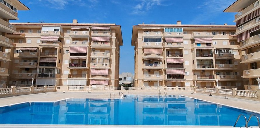 Huoneisto Torrevieja, Alicante, Espanja 1 makuuhuone, 503 m2 No. 194796