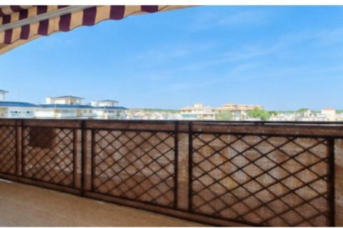 Huoneisto myytävänä Torrevieja, Alicante, Espanja, 1 makuuhuone, 503 m2 No. 194796 - kuva 8