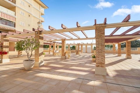 Apartment à vendre à Torrevieja, Alicante, Espagne, 1 chambre, 503 m2 No. 194796 - photo 6