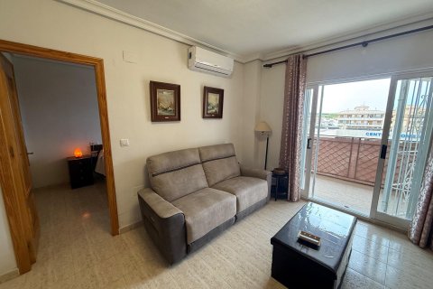 Apartment à vendre à Torrevieja, Alicante, Espagne, 1 chambre, 503 m2 No. 194796 - photo 17