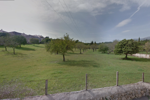 Land plot à vendre à Moscari, Mallorca, Espagne, 1481 m2 No. 148606 - photo 2