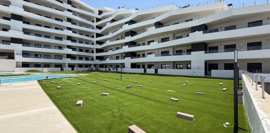 Apartment San Miguel de Salinas, Alicante, Espagne 3 chambres, 95 m2 No. 139342