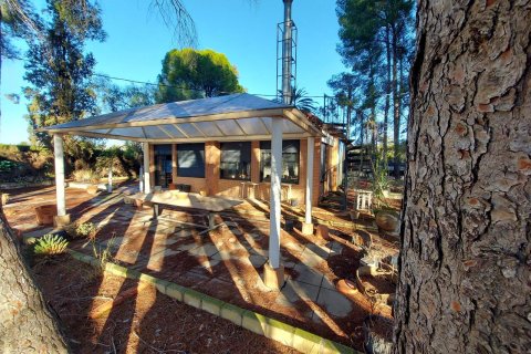 Finca till salu i Calasparra, Murcia, Spanien 3 sovrum, 150 kvm. Nr. 163138 - foto 22