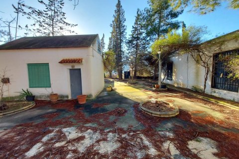 Finca till salu i Calasparra, Murcia, Spanien 3 sovrum, 150 kvm. Nr. 163138 - foto 21