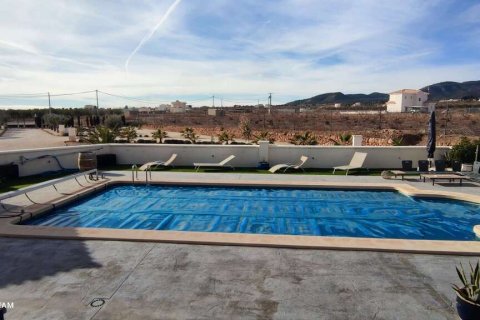 Villa zum Verkauf Pinoso, Alicante, Spanien 4 Schlafzimmer, 180 m2 Nr. 116372 - Foto 21