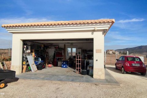 Villa zum Verkauf Pinoso, Alicante, Spanien 4 Schlafzimmer, 180 m2 Nr. 116372 - Foto 16