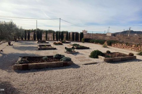 Villa zum Verkauf Pinoso, Alicante, Spanien 4 Schlafzimmer, 180 m2 Nr. 116372 - Foto 6
