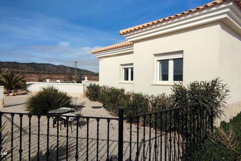 Villa zum Verkauf Pinoso, Alicante, Spanien 4 Schlafzimmer, 180 m2 Nr. 116372 - Foto 20