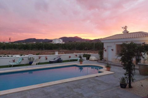 Villa zum Verkauf Pinoso, Alicante, Spanien 4 Schlafzimmer, 180 m2 Nr. 116372 - Foto 23