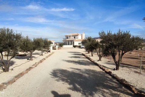 Villa zum Verkauf Pinoso, Alicante, Spanien 4 Schlafzimmer, 180 m2 Nr. 116372 - Foto 7