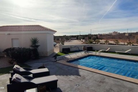 Villa zum Verkauf Pinoso, Alicante, Spanien 4 Schlafzimmer, 180 m2 Nr. 116372 - Foto 22