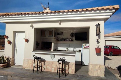 Villa zum Verkauf Pinoso, Alicante, Spanien 4 Schlafzimmer, 180 m2 Nr. 116372 - Foto 12