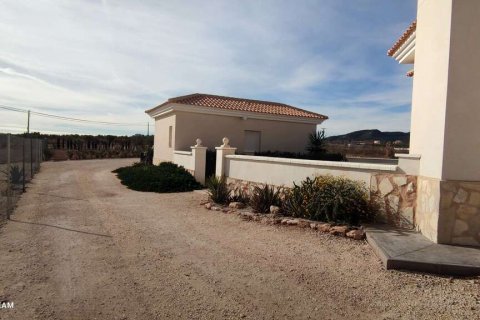 Villa zum Verkauf Pinoso, Alicante, Spanien 4 Schlafzimmer, 180 m2 Nr. 116372 - Foto 19