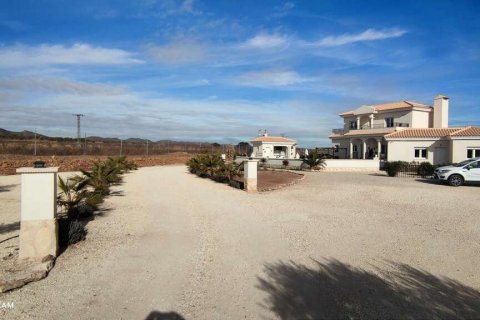 Villa zum Verkauf Pinoso, Alicante, Spanien 4 Schlafzimmer, 180 m2 Nr. 116372 - Foto 8