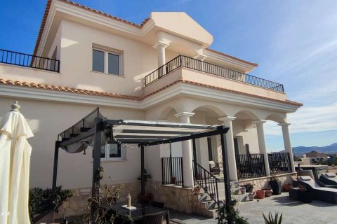 Villa zum Verkauf Pinoso, Alicante, Spanien 4 Schlafzimmer, 180 m2 Nr. 116372 - Foto 13