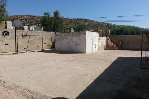 Villa for sale La Romana, Alicante, Spain 3 bedrooms, 200 sq.m. No. 116375 - photo 13