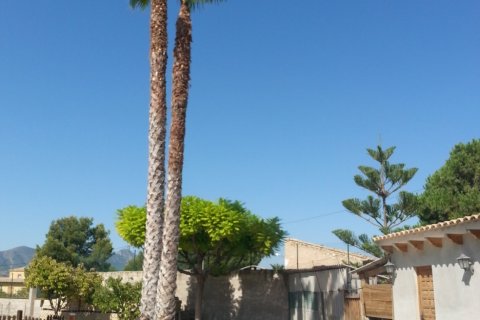 Villa for sale La Romana, Alicante, Spain 3 bedrooms, 200 sq.m. No. 116375 - photo 16